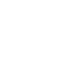 BSC Icon